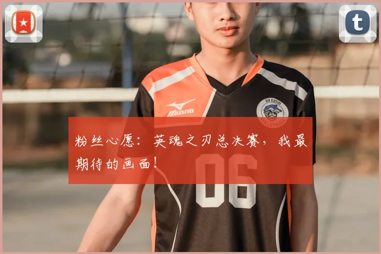 粉丝心愿：英魂之刃总决赛，我最期待的画面！